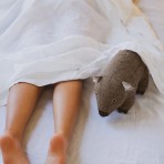 Toy | Wally the Wombat